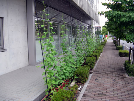 埼玉県熊谷市役所 江南行政センター　ツタネット